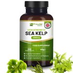 prowsie-sea-kelp.jpg