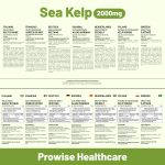 prowsie-sea-kelp.jpg
